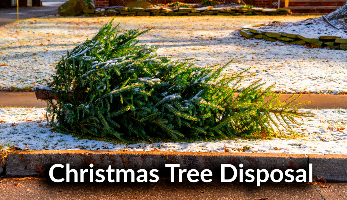 Christmas Tree Pick Up Homewood Disposal Service