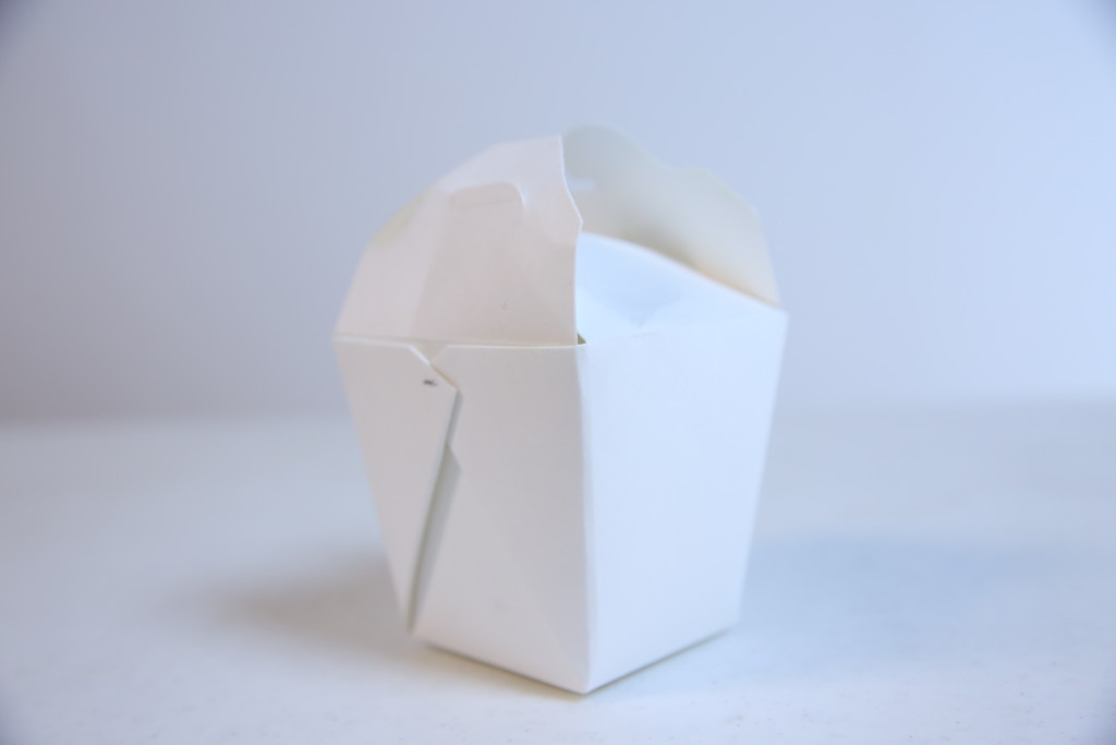 IMG_5901 takeout contatiner