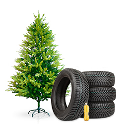 How to dispose of household waste