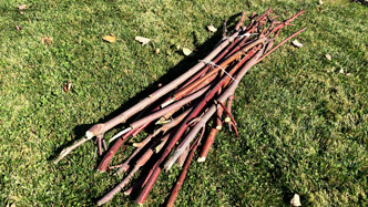 tied yard waste sticks