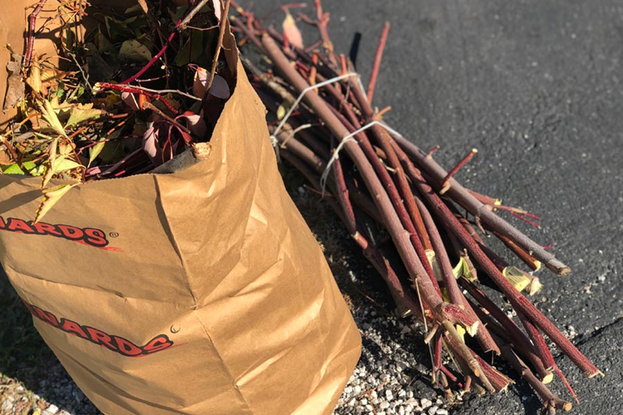 bundled-branches-yard-waste